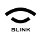 Team BLINK