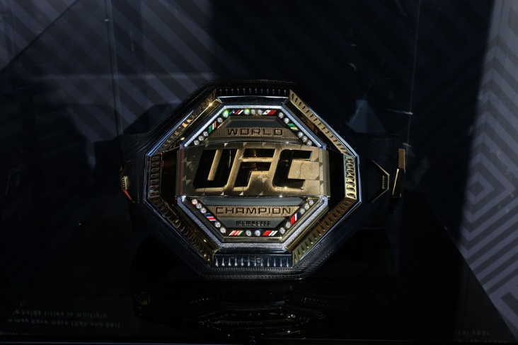 Дивизионы UFC, весовые категории