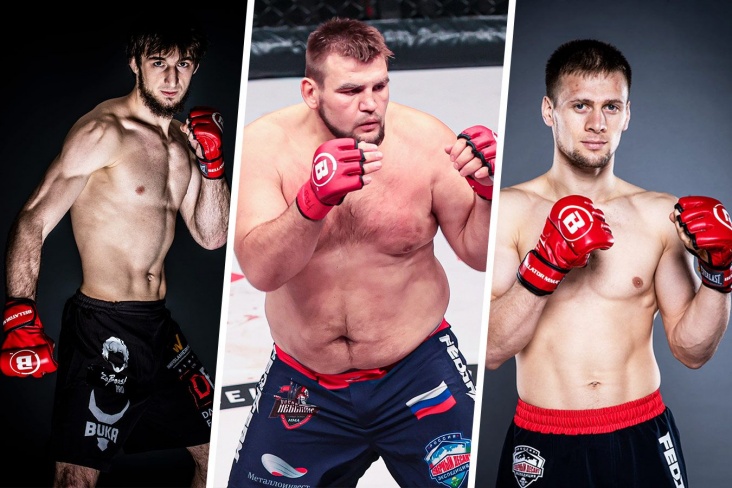 Bellator 275: Брат Забита и бойцы Fedor Team