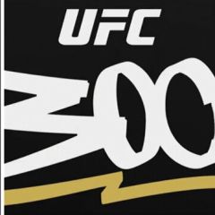 UFC 300