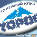 Торос