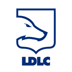 Team LDLC