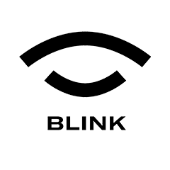 Team BLINK